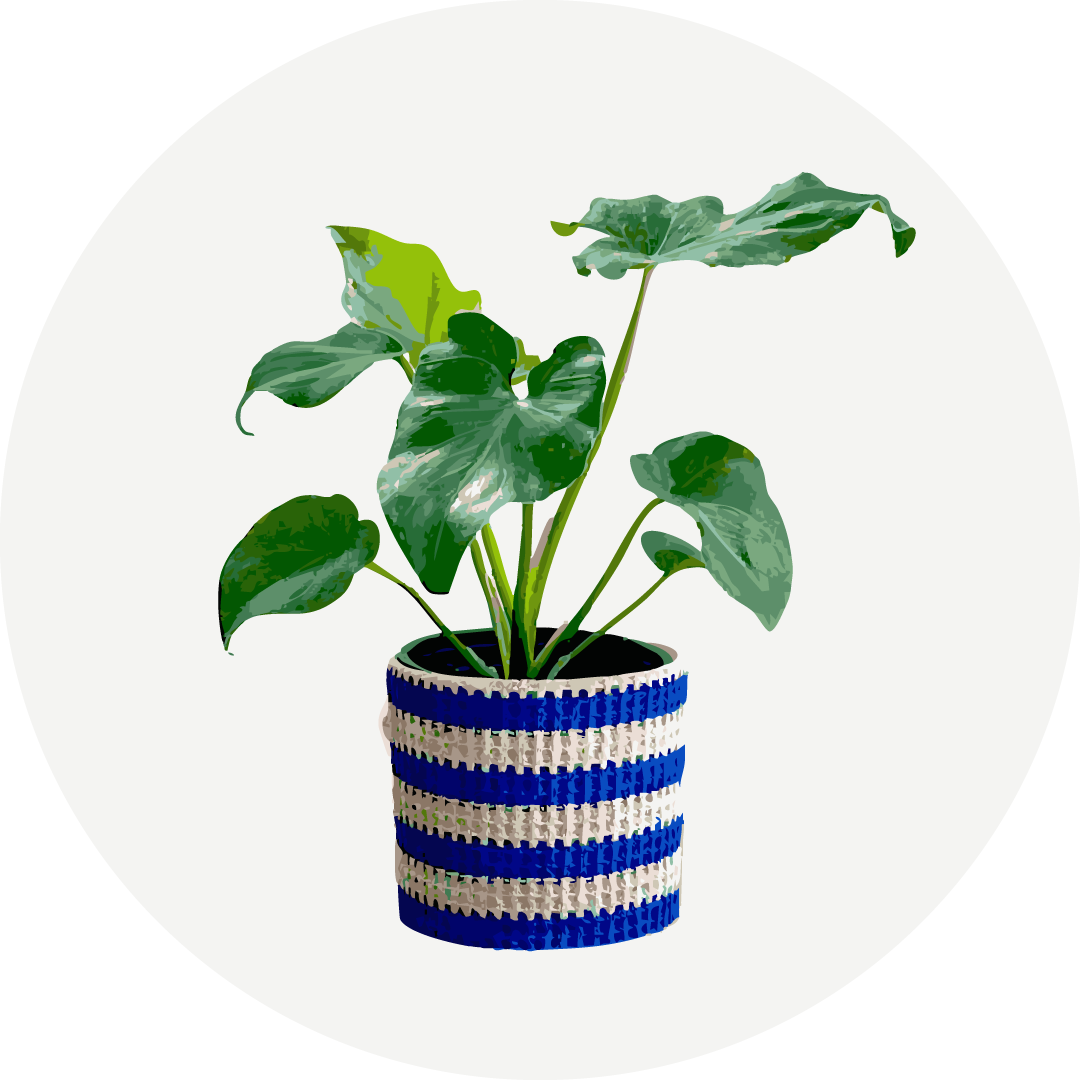 花瓶・ガーデニング