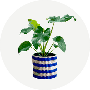 花瓶・ガーデニング